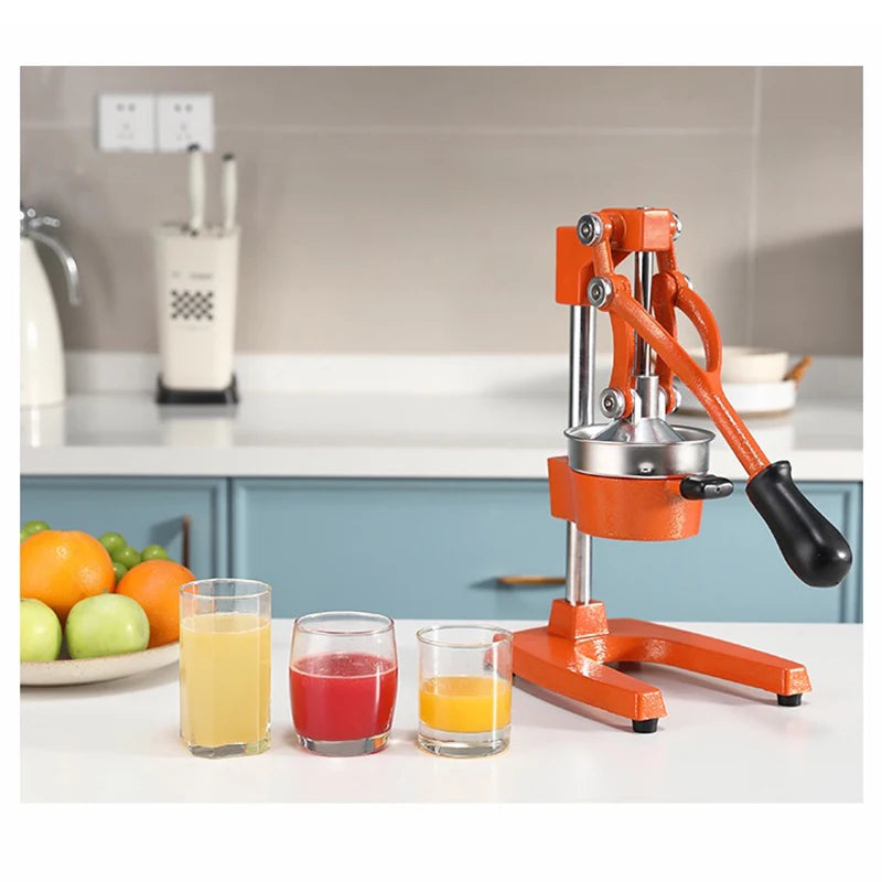 Presse-agrumes Manuel Inox